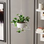 Aberto Design Maceta Decorativa Harpusta - Blanco